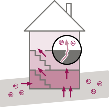 Grafik: Radonausbreitung Haus (Enlarges Image in Dialog Window)