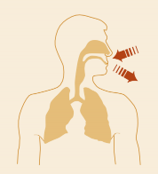 Piktografische Abbildung eines menschlichen Oberkörpers mit hervorgehobenem Nasen- und Rachenraum, sowie Lungen. Deutet mit Pfeilen ein- und ausatmen an.