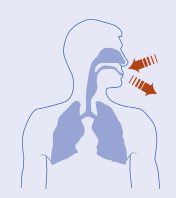 Piktografische Abbildung eines menschlichen Oberkörpers mit hervorgehobenem Nasen- und Rachenraum, sowie Lungen. Deutet mit Pfeilen ein- und ausatmen an.