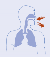 Pictographic image of a human torso with nasal and pharyngeal cavities and lungs highlighted. Indicates inhale and exhale with arrows.