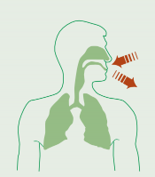 Piktografische Abbildung eines menschlichen Oberkörpers mit hervorgehobenem Nasen- und Rachenraum, sowie Lungen. Deutet mit Pfeilen ein- und ausatmen an.
